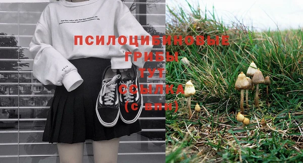 бошки Краснотурьинск