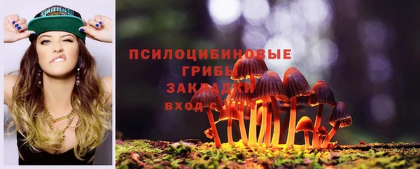 бошки Краснотурьинск