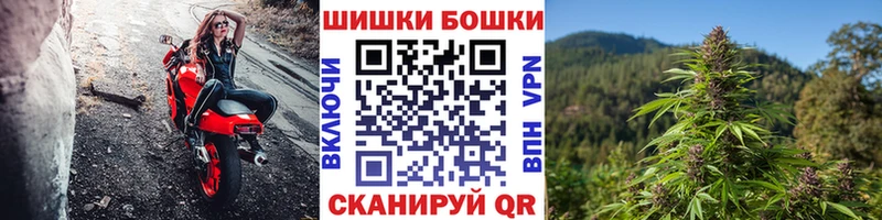 Конопля ГИДРОПОН Купить Чайковский